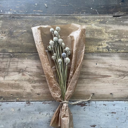 Vallmo Naturell 15-pack