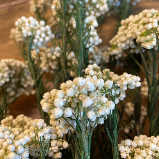 Diosmi Rice Flower 100gr, Vit