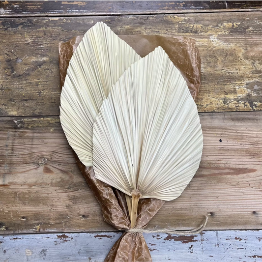 Stora Palmblad 2-pack