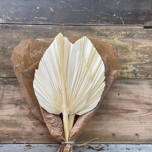 Stora Palmblad 2-pack