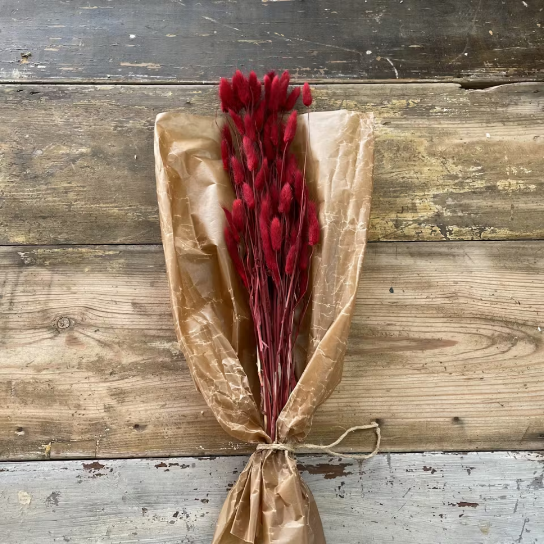 Lagurus Rabbit tail 80gr,