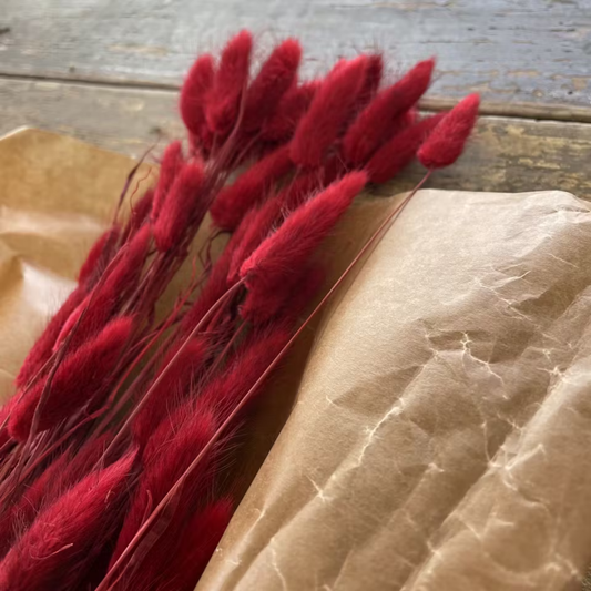 Lagurus Rabbit tail 80gr,