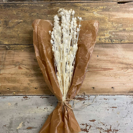 Lover fruit Blommor 100gr