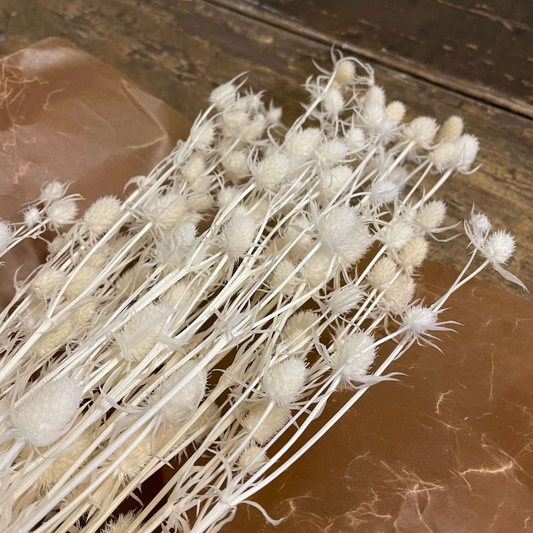 Lover fruit Blommor 100gr