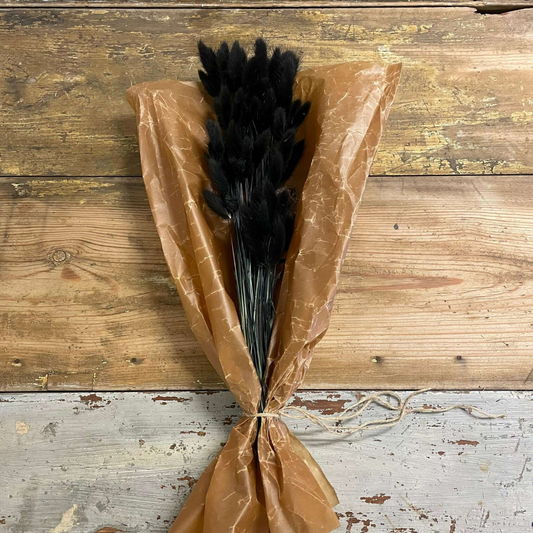 Lagurus Rabbit Tail 80g, Black
