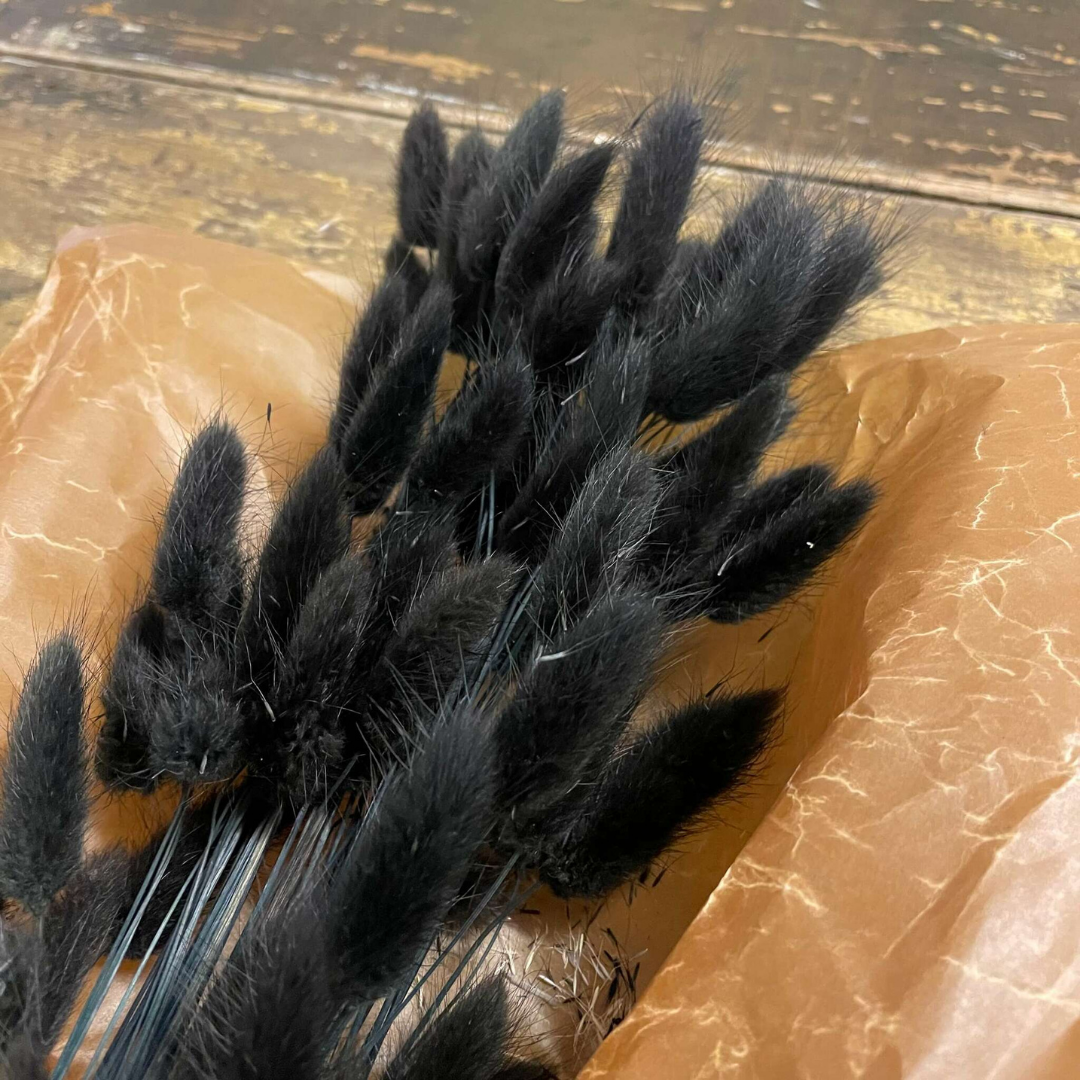 Lagurus Rabbit Tail 80g, Black