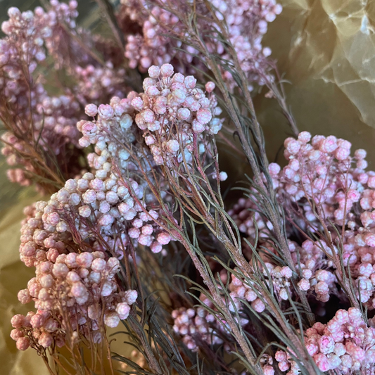 Diosmi Rice Flower 100gr, rosa