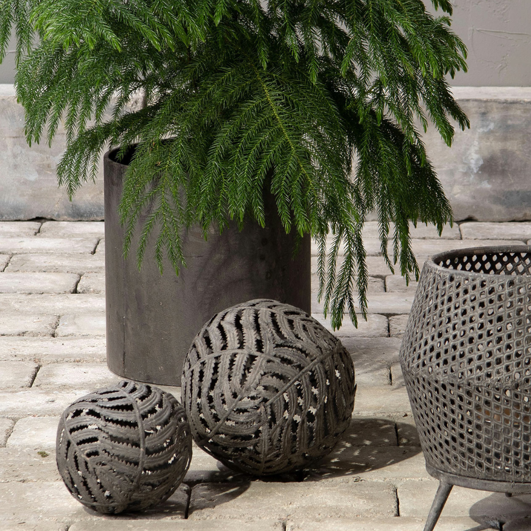 Ormbunke marchallhållare