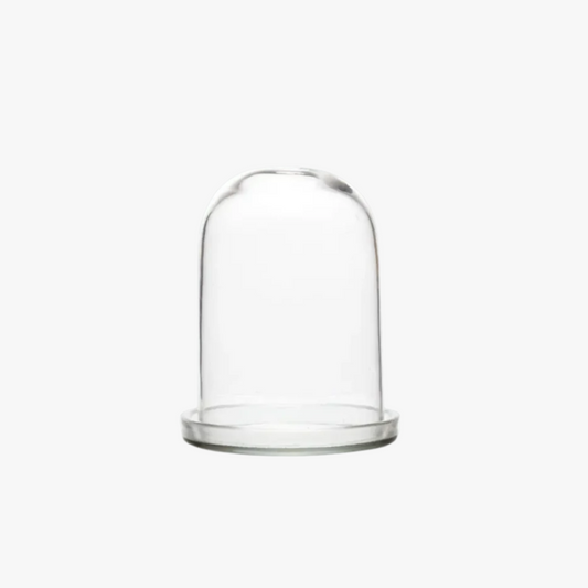 Glass cloche with base