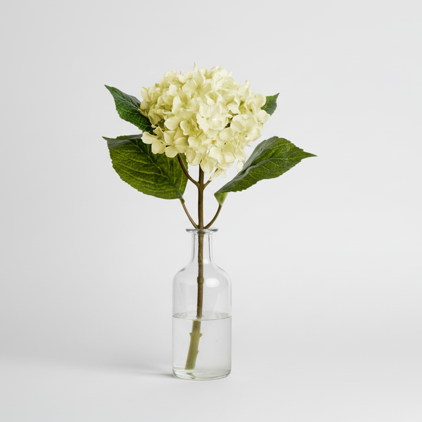 Hortensia 40cm, Vit