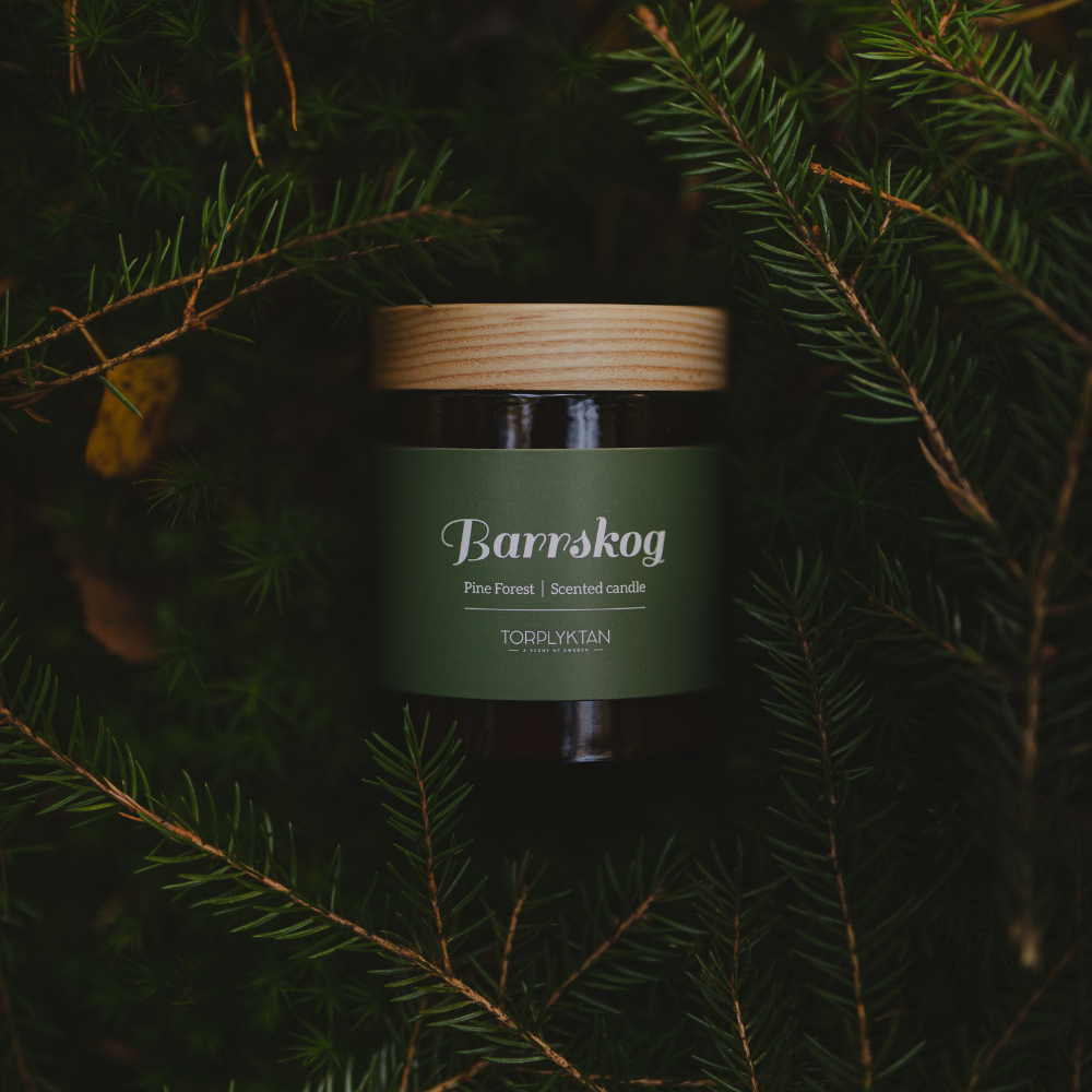 Doftljus Barrskog