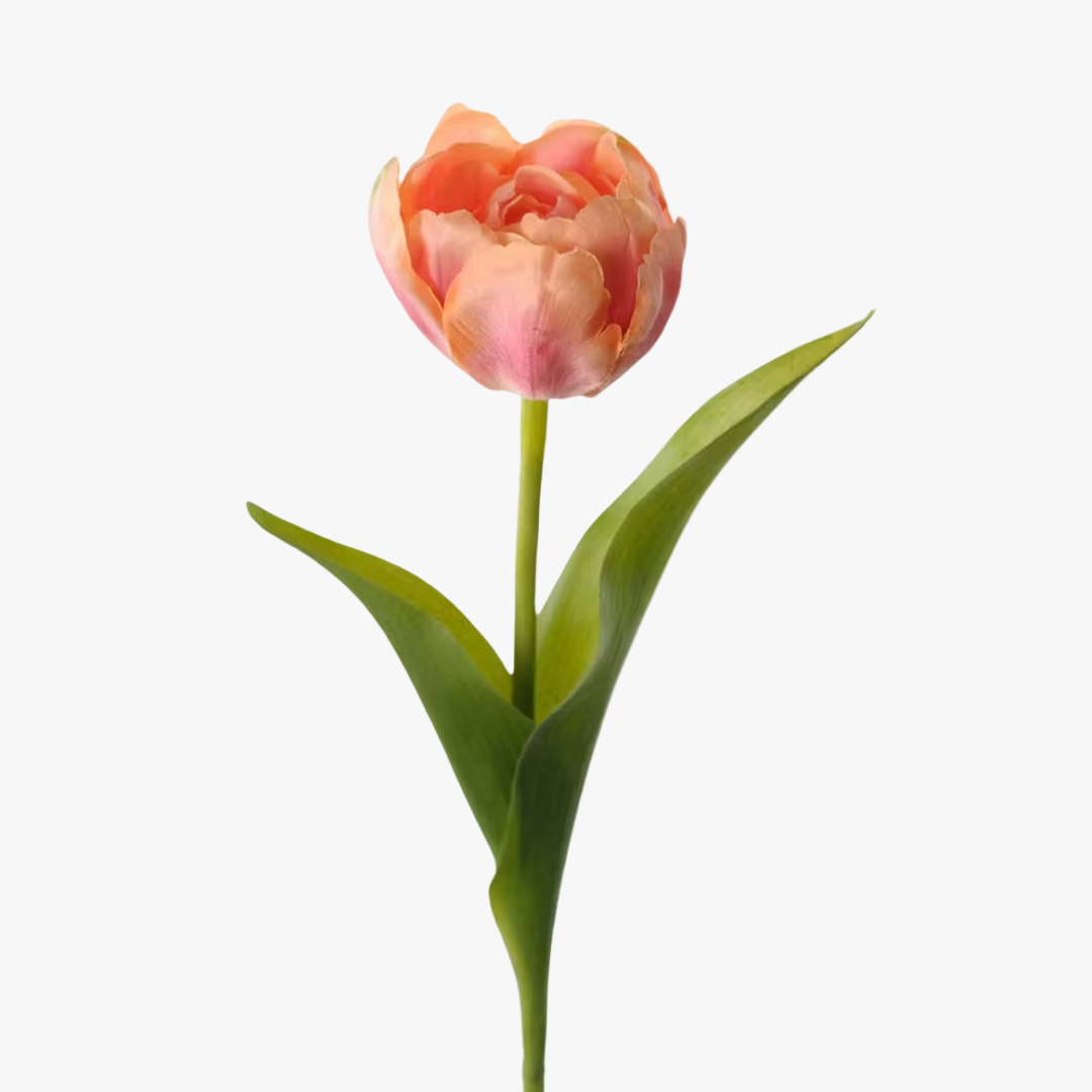 Tulpan 35cm, Orange
