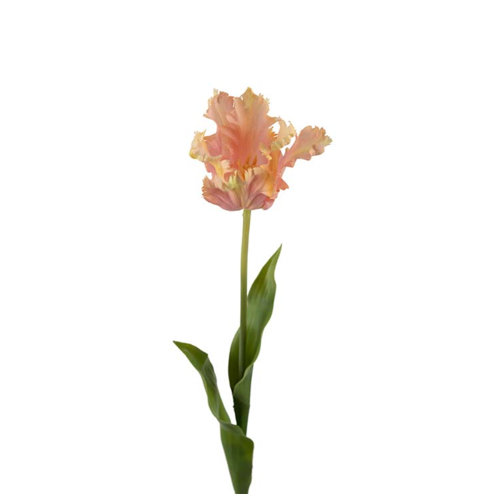 Tulip 35cm, Pink