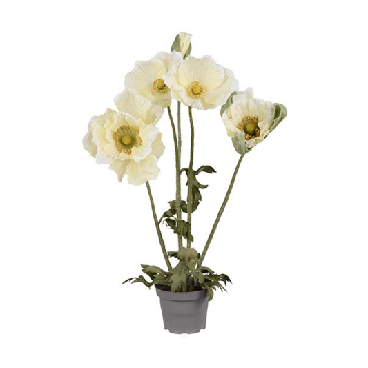 Poppy in pot Cream, 50cm
