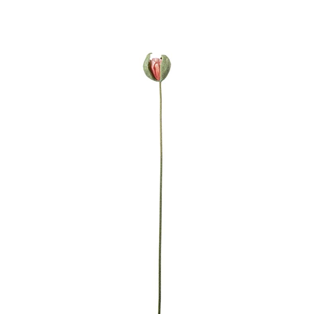 Valmueknop Koral 78cm