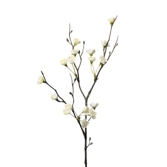 Ginst 80cm, green