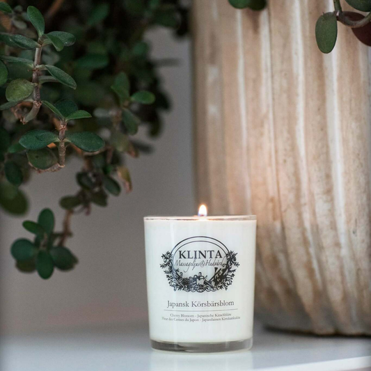 Doftljus stort körbärsblom