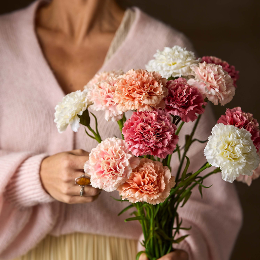 Carnation, Peach 44cm