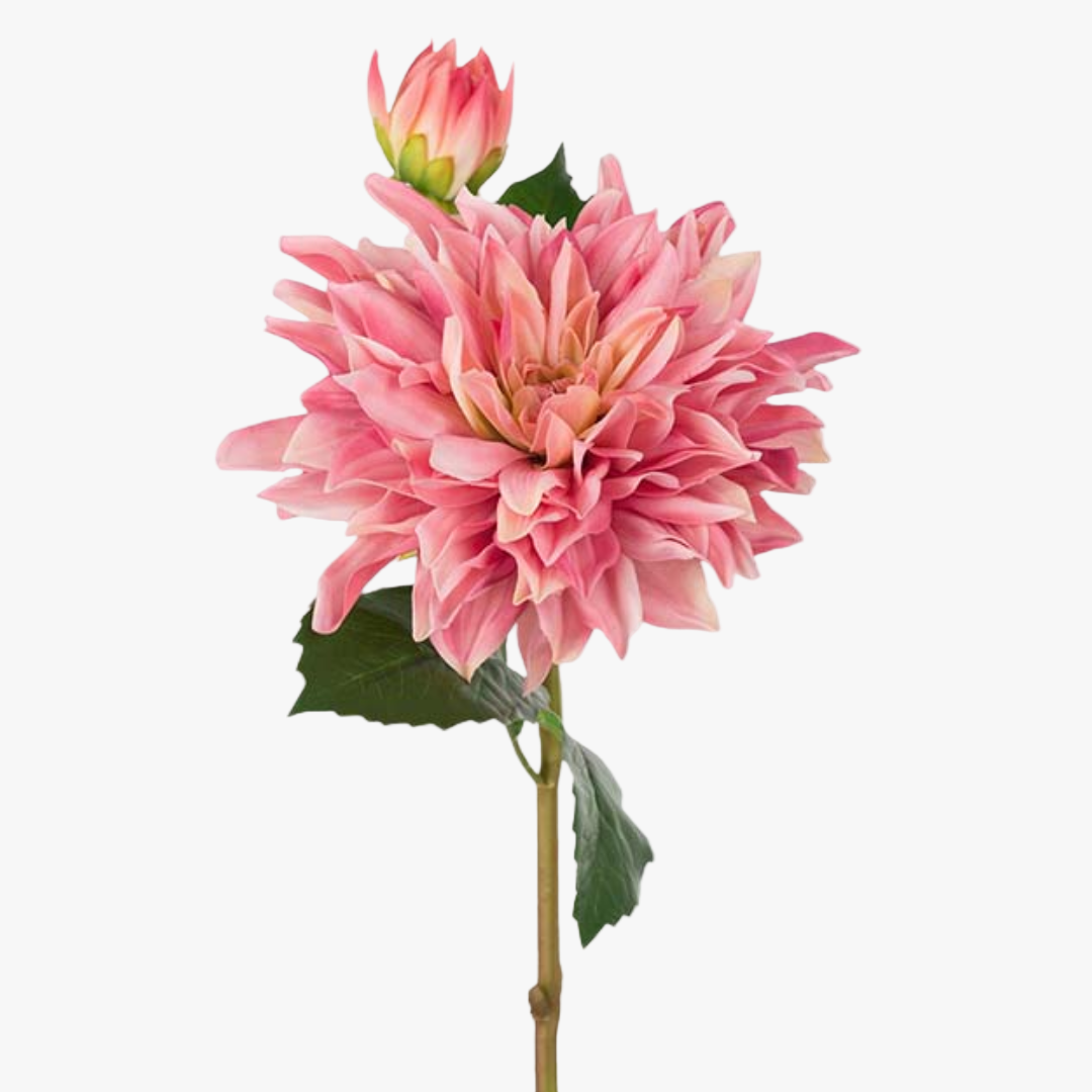 Dahlia 70cm