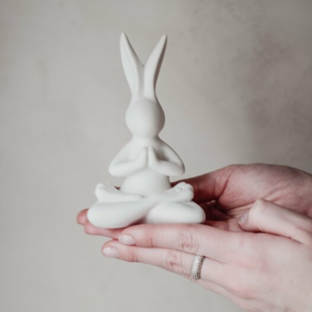 Yoga Bunny