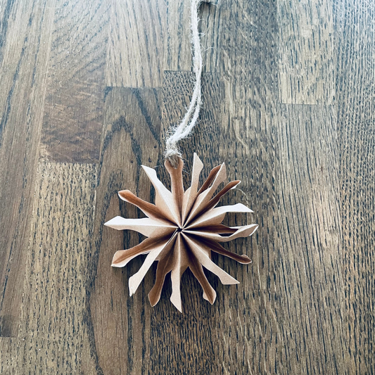 Pappstjärna 10cm