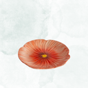Asiette Poppy, röd