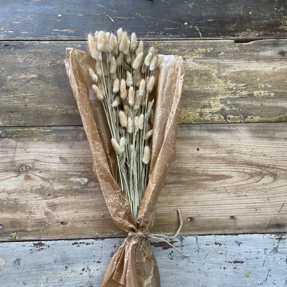 Lagurus Rabbit tail 80gr,