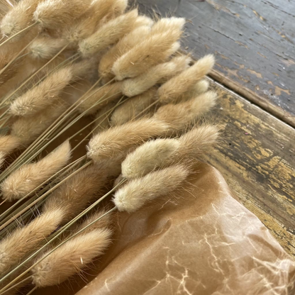 Lagurus Rabbit tail 80gr,