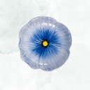 Kakfat Poppy, blå