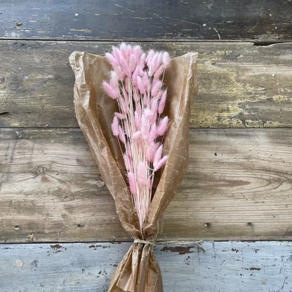 Lagurus Rabbit tail 80gr,