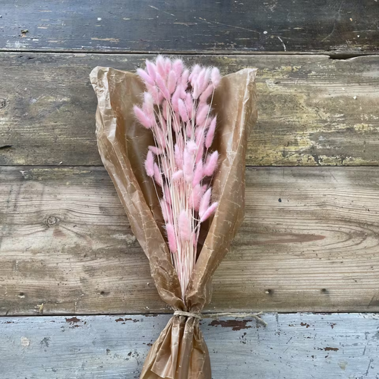 Lagurus Rabbit tail 80gr, Rosa