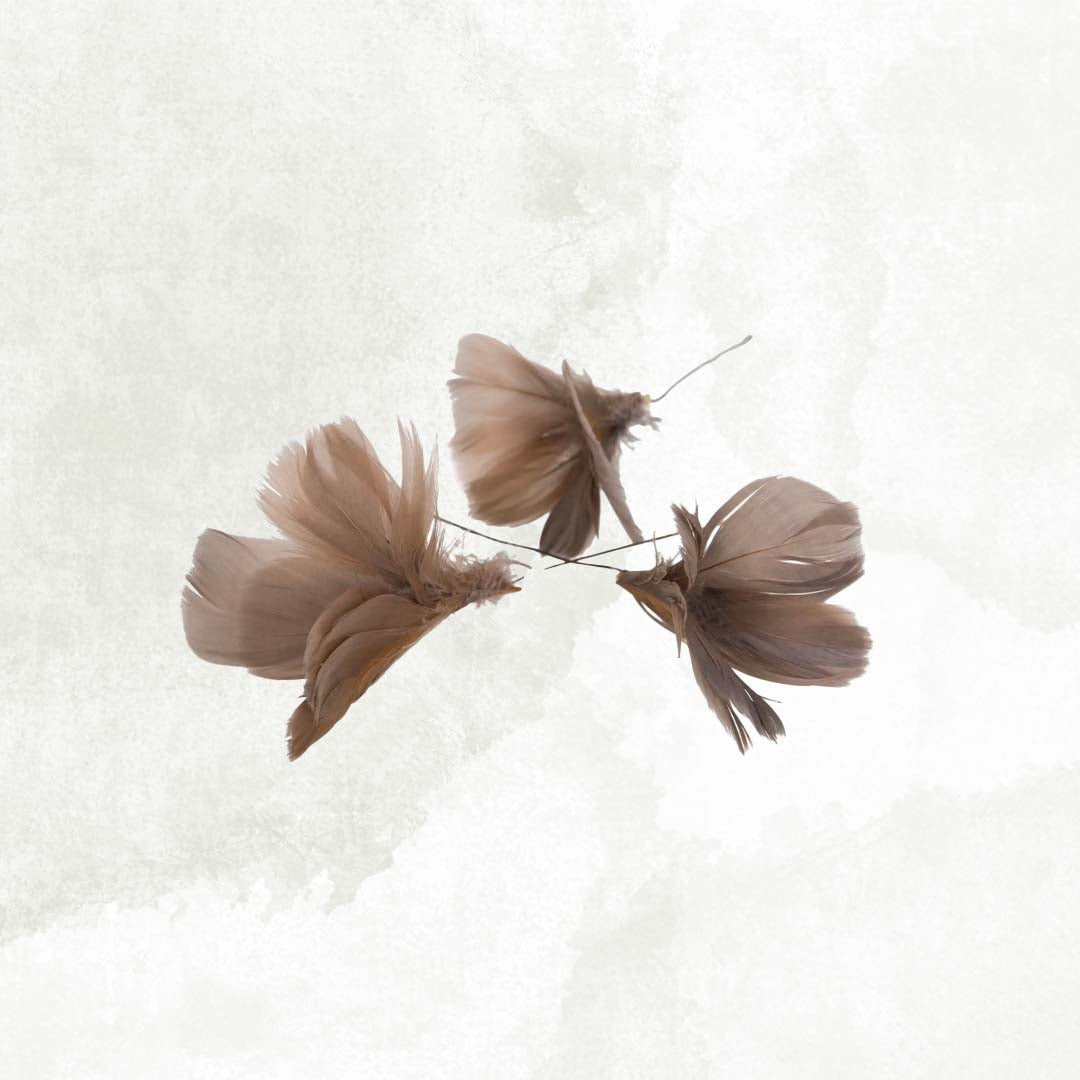 Fjäder/Tråd PuderVippa 12-pack,