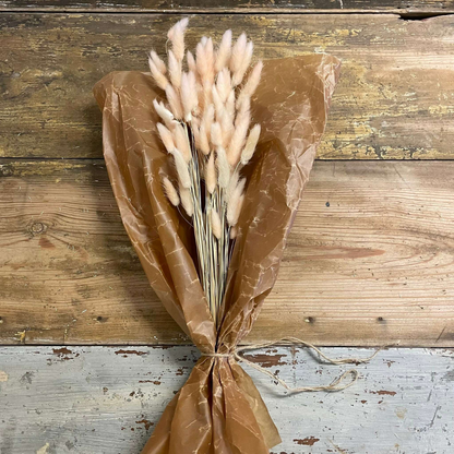 Lagurus Rabbit tail 80gr,