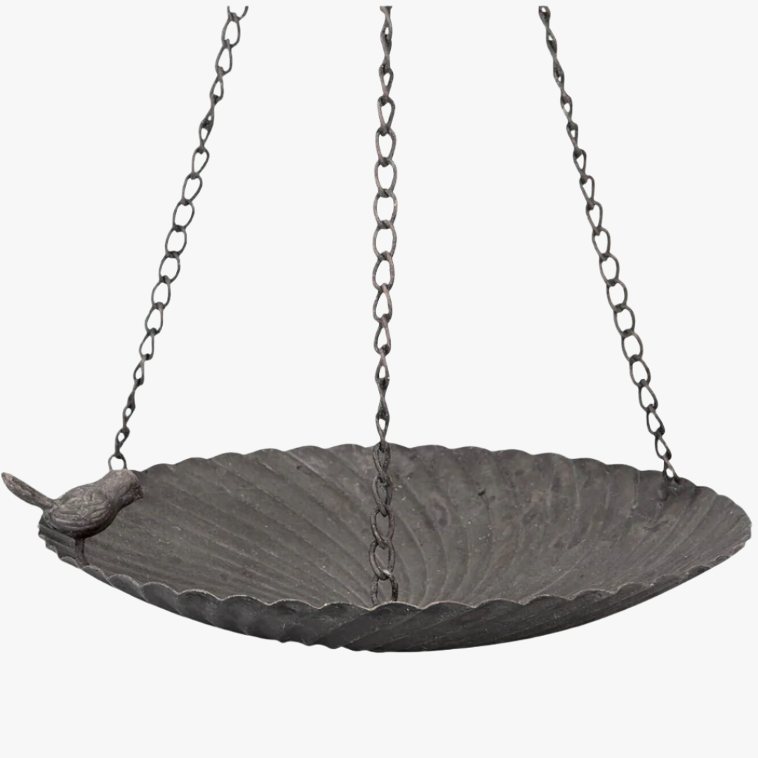 Fågelbad sparv