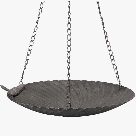 Fågelbad sparv