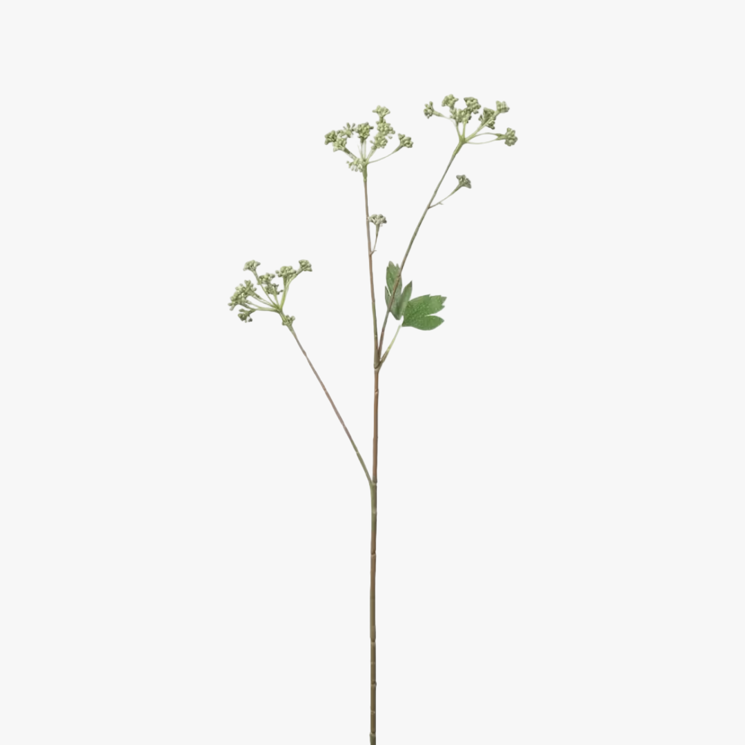 Angelica 56cm, Grön