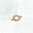 Bitring taggig