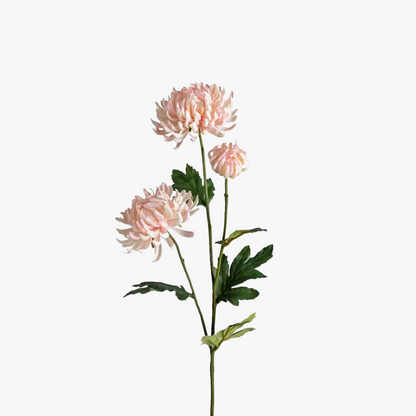 Chrysanthemum 60cm, Pink