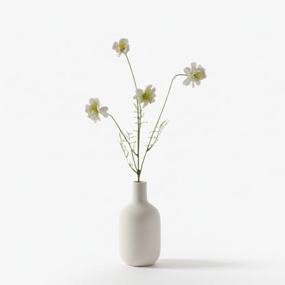 Cosmos 55cm, White