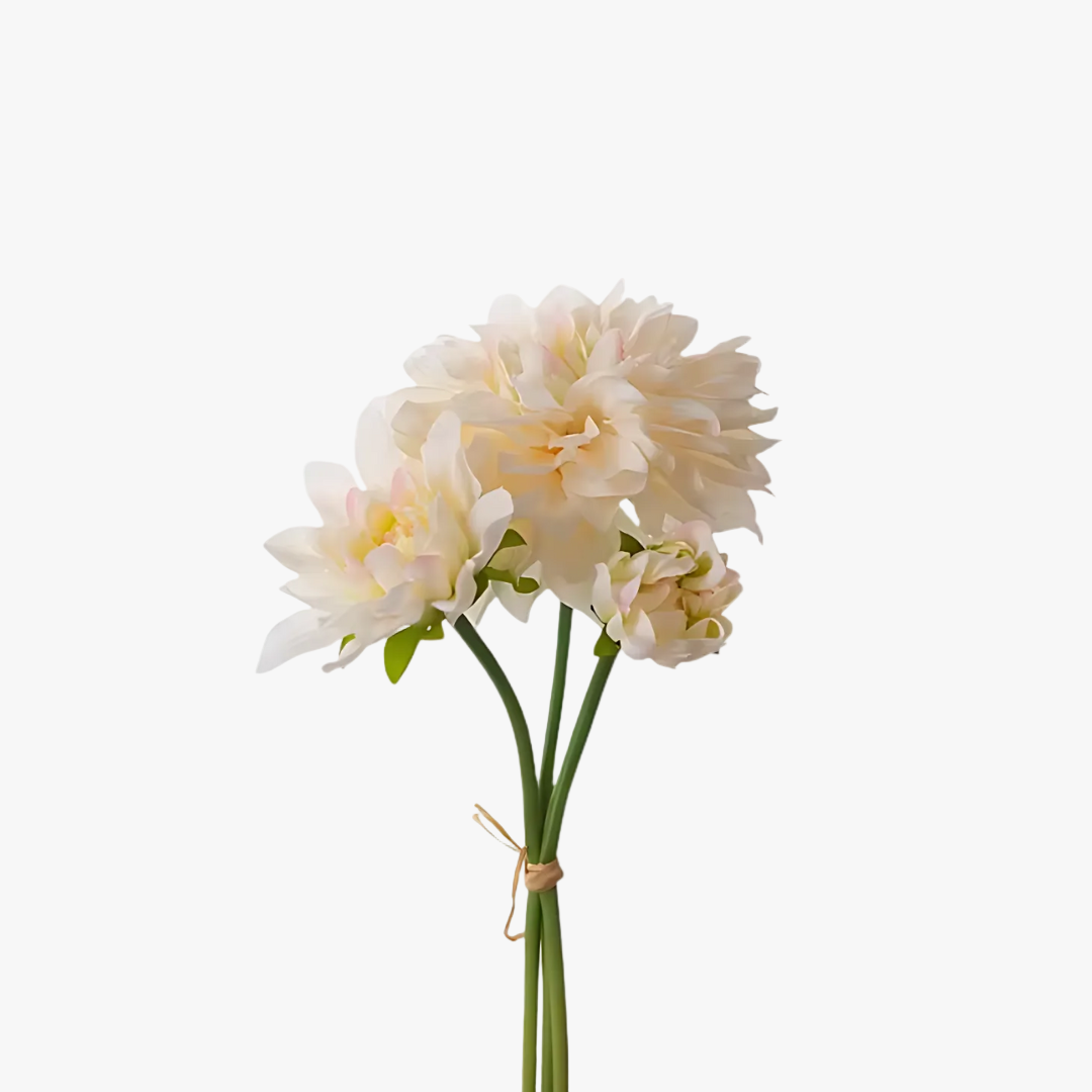 Dahliabunt 
