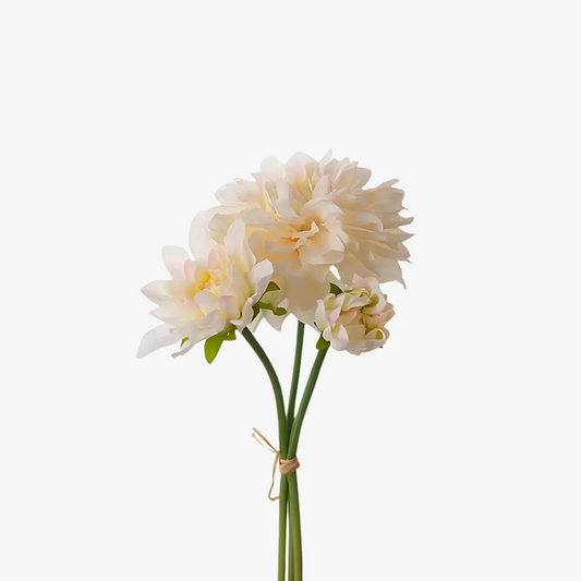 Dahliabunt 
