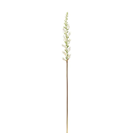Ginst 80cm, green