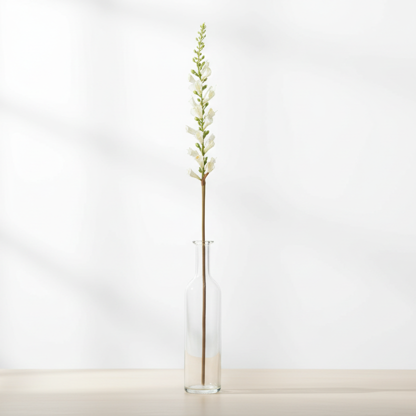 Digitalis Cream 60cm