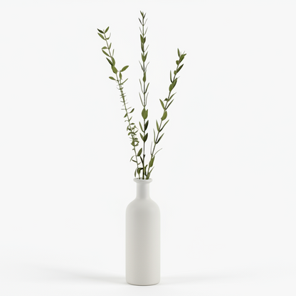 Eucalyptus small-leaved 50cm, green