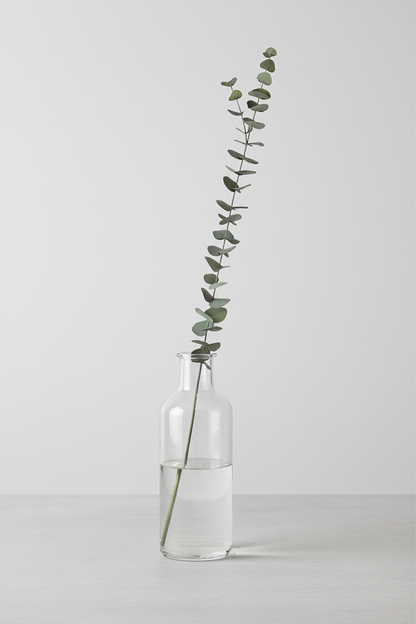 Eucalyptus large-leaved 120cm, green