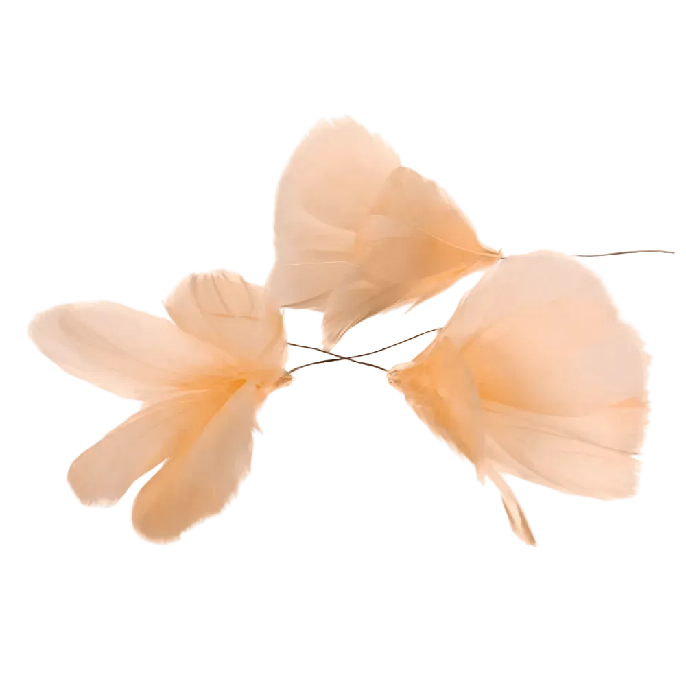 Fjäder/Tråd Blom 12-pack, Aprikos