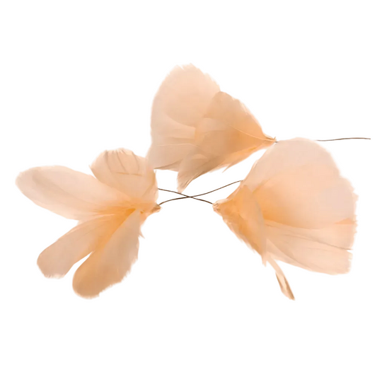 Fjäder/Tråd Blom 12-pack, Aprikos
