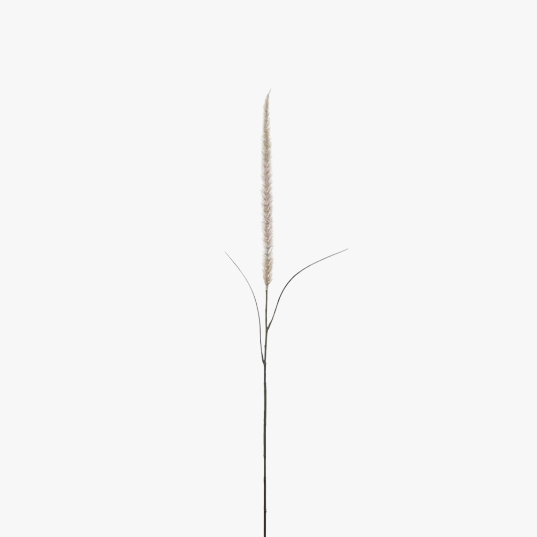 Fjäderborstgräs 105cm, natur