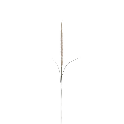 Feather brush grass 105cm, natural