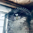 Frera design norrsken lampa